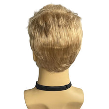 Carregar imagem no visualizador da galeria, PERUCA LOIRA MASCULINA