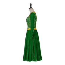 Carregar imagem no visualizador da galeria, FANTASIA VESTIDO FIONA - SHREK COSPLAY