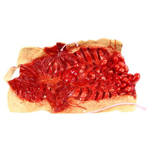 Carregar imagem no visualizador da galeria, FANTASIA PEITORAL ZUMBI SANGUE