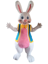 Carregar imagem no visualizador da galeria, Mascote Coelho Páscoa Profissional