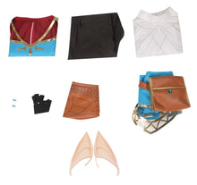 Carregar imagem no visualizador da galeria, FANTASIA ZELDA - THE LEGEND OF ZELDA BREATH OF THE WILD COSPLAY PROFISSIONAL