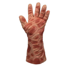 Carregar imagem no visualizador da galeria, KIT FREDDY KRUEGER LUVA + MÁSCARA