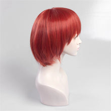 Carregar imagem no visualizador da galeria, PERUCA KOIZUMI - DANGANRONPA
