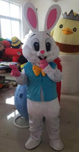Carregar imagem no visualizador da galeria, FANTASIA MASCOTE COELHO DA PÁSCOA