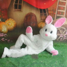 Carregar imagem no visualizador da galeria, FANTASIA MASCOTE COELHO DA PÁSCOA