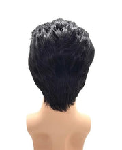 Carregar imagem no visualizador da galeria, PERUCA ELVIS PRESLEY TOPETE