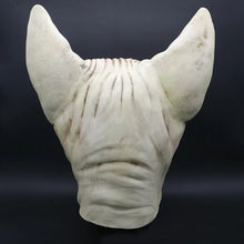 Carregar imagem no visualizador da galeria, MÁSCARA GATO SEM PELOS COSPLAY