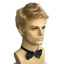 Carregar imagem no visualizador da galeria, PERUCA LOIRA MASCULINA
