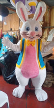 Carregar imagem no visualizador da galeria, Mascote Coelho Páscoa Profissional
