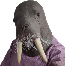 Carregar imagem no visualizador da galeria, MÁSCARA MORSA FOCA LEÃO MARINHO
