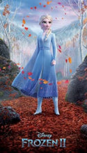 Carregar imagem no visualizador da galeria, FANTASIA ELSA INFANTIL - FROZEN 2  VESTIDO FLORESTA ENCANTADA

