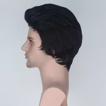 Carregar imagem no visualizador da galeria, PERUCA FREDDIE MERCURY
