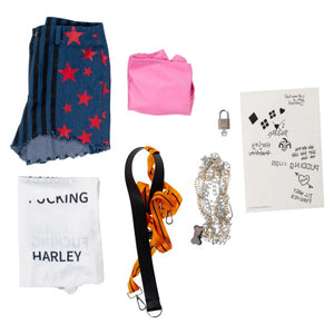 FANTASIA HARLEY QUINN ARLEQUINA - AVES DE RAPINA